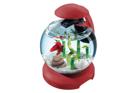 Купить аквариум Tetra Cascade Globe с рыбкой Петушок Киев с бесплатной доставкой